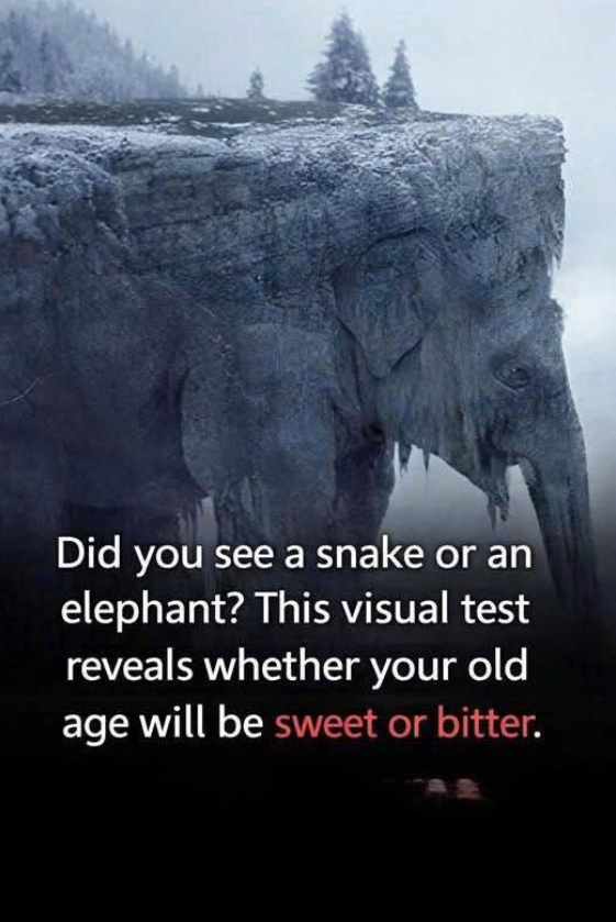 This visual test reveals whether your old age will be sweet or bitter...