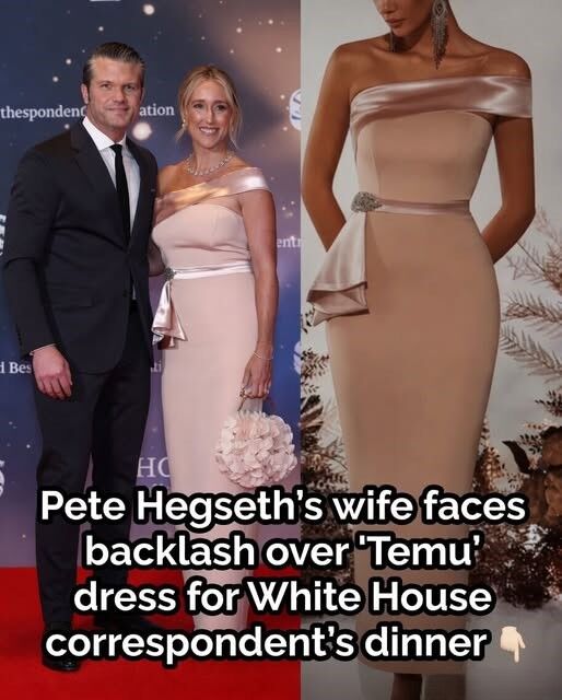 Why the outrage over this dress worn to the White House correspondents’ dinner?