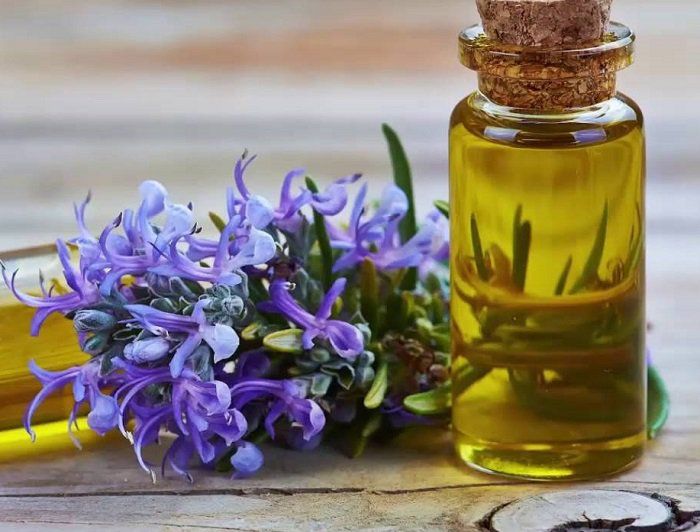 I applied rosemary oil to my scalp overnight. The next day, this is what happened...