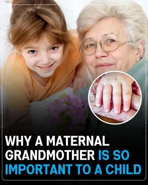 WHY A MATERNAL GRANDMOTHER IS SO IMPORTANT TO A CHILD...