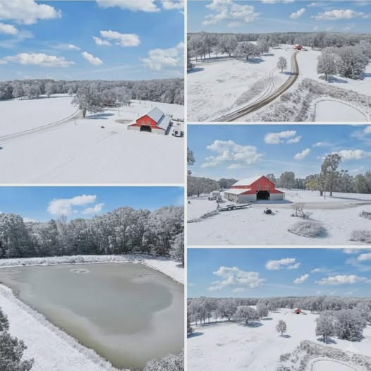 No Neighbors, No Noise! Over 52 Acres $145,000