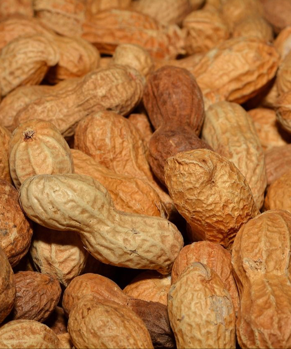 Doctors Reveal That Eating Peanuts Causes ... See more