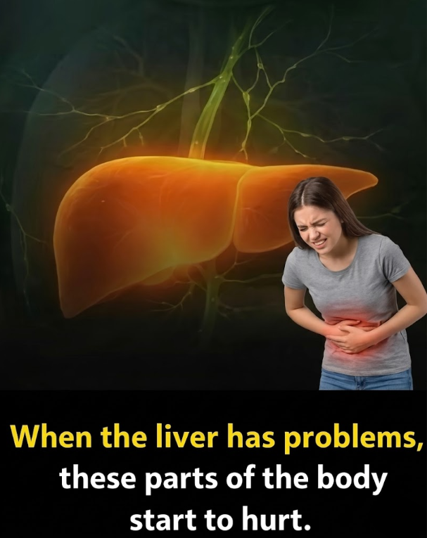 Pain in These Parts of the Body Could Sometimes Be Linked to Liver Problems.