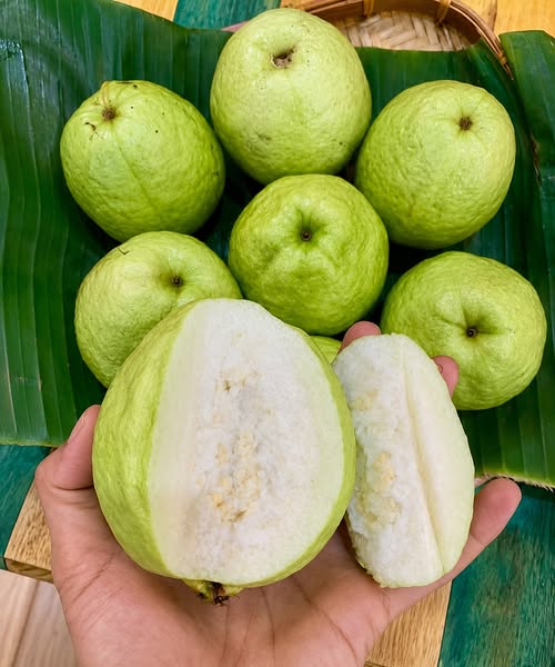 Doctors reveal that eating too much guava can cause...