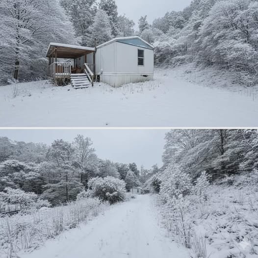 No Neighbors, No Noise! 38 acres. $55,000