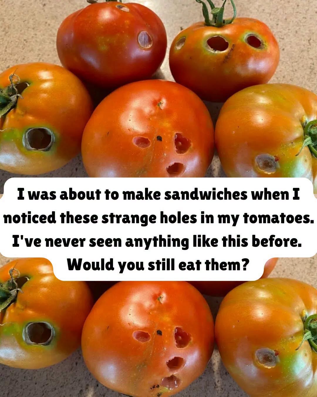 Understanding What May Have Happened and Your Options...