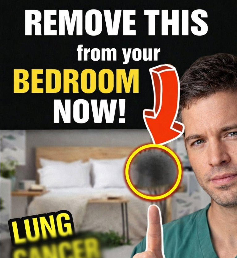 Here are 8 household items worth checking if you want a healthier home environment.