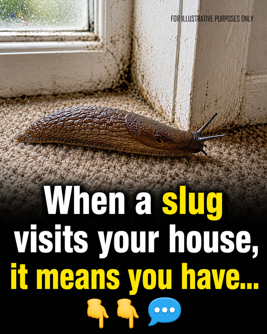 When a slug visits your house, it means you have...