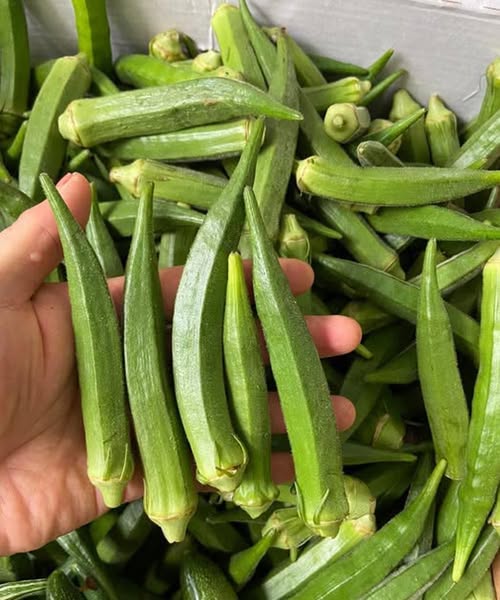 What Researchers Have Learned About Eating Okra...