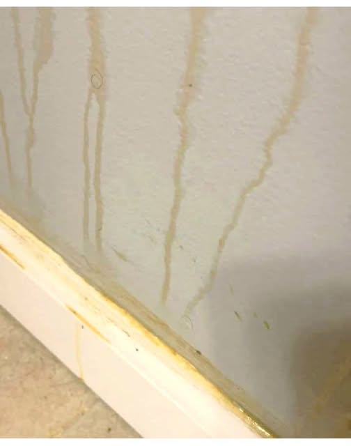 I noticed this unusual mark and wasn't able to remove it after cleaning. Has anyone seen something similar before?