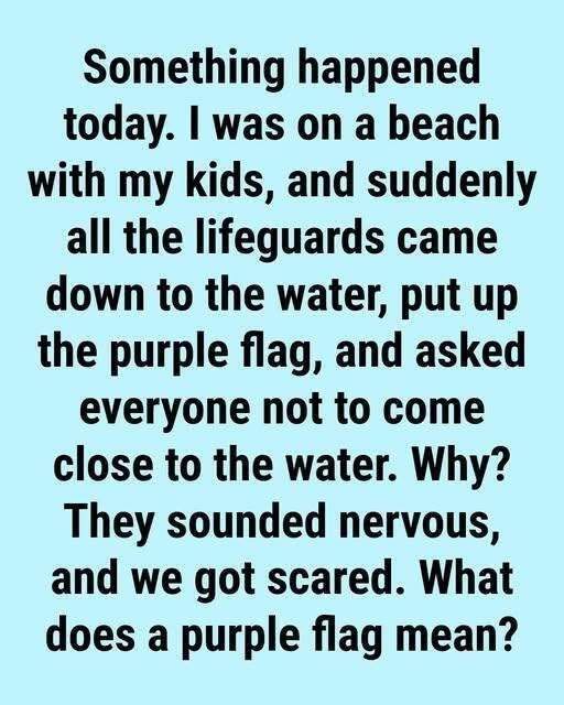 What a Purple Flag Typically Represents...