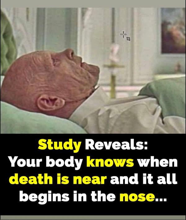 Research shows body senses death is near – starts in this body part