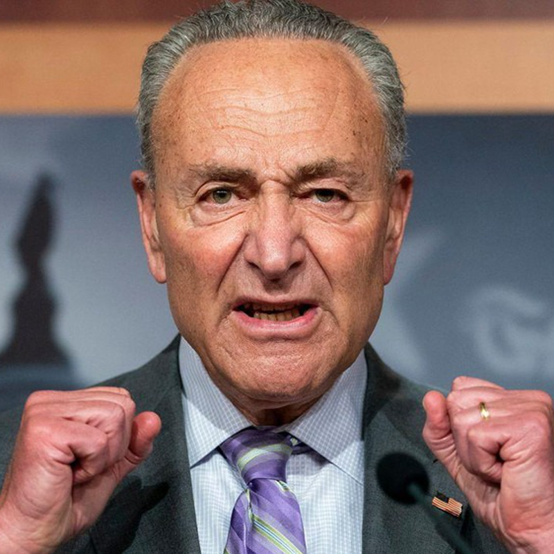 Dems Break with Schumer, Side with GOP to Hand Trump Another Victory
