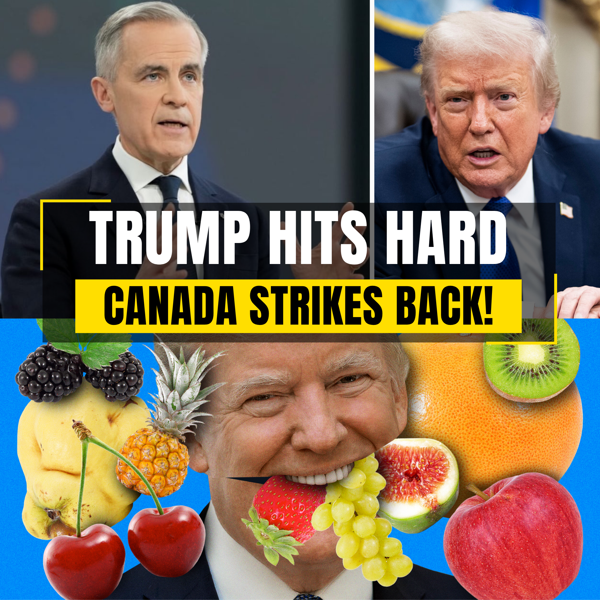 Trump's Tariffs on Canadian Fruit Backfire, Hurting U.S. Farmers as Canada Finds New Markets