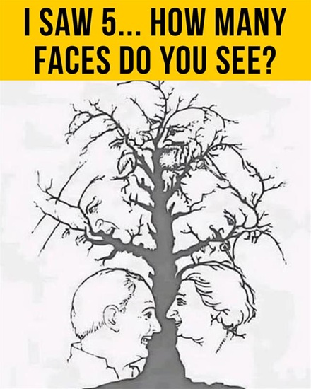 Can You Find All the Faces Hidden in This Tree?