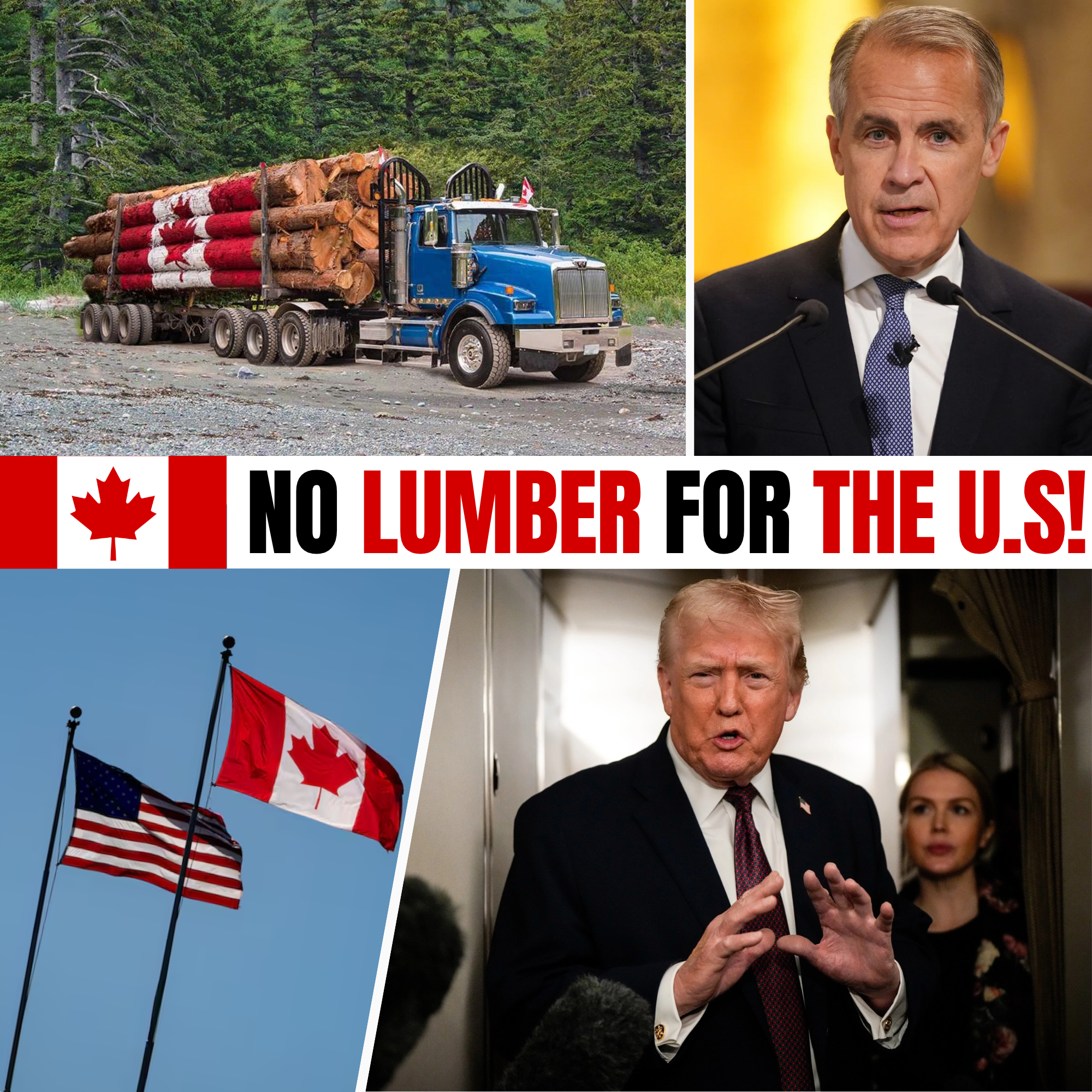 Canada Halts Lumber Exports to U.S., Causing a $45 Billion Impact in Escalating Trade War