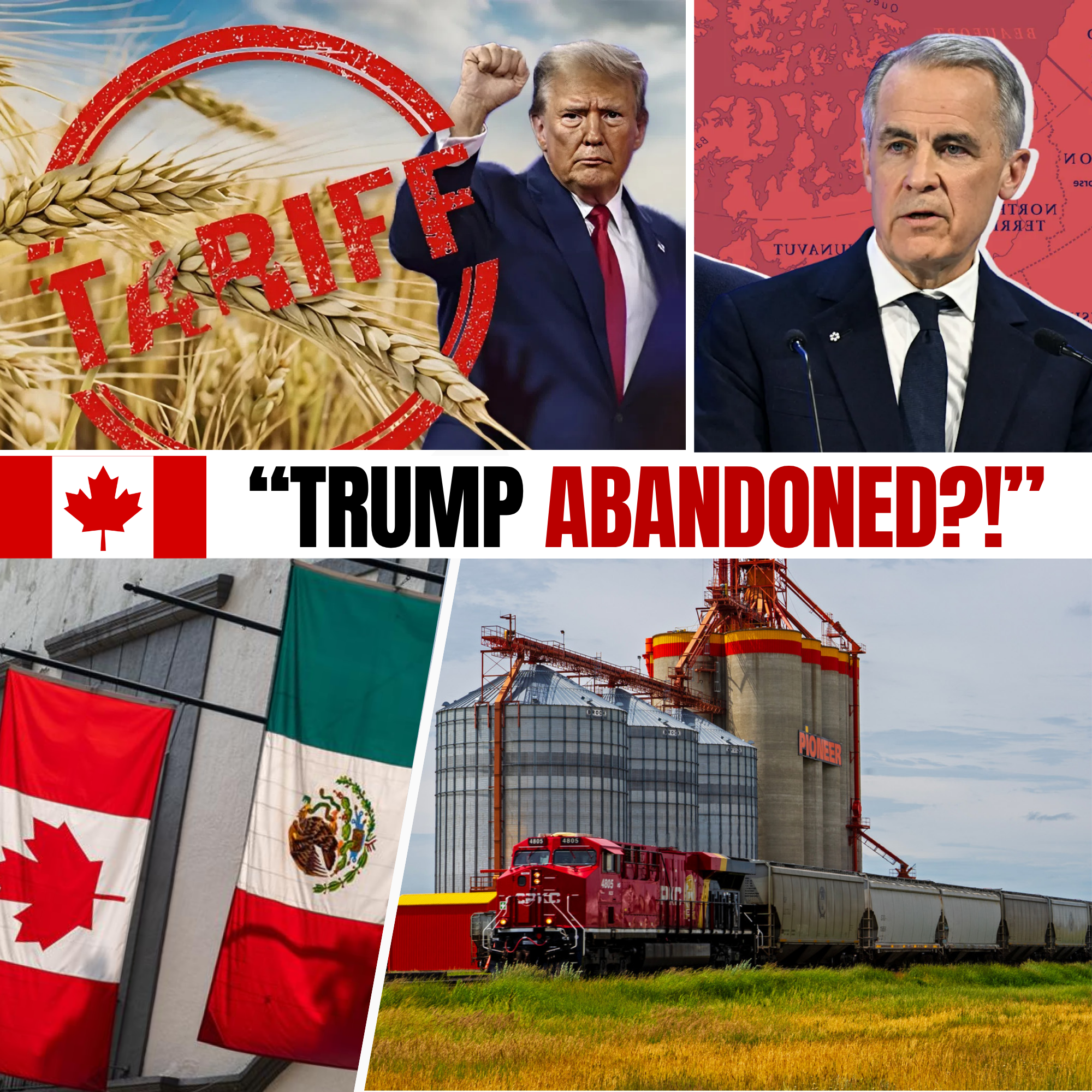 Canada's New Grain Route Bypasses U.S. Ports, Impacting North American Trade