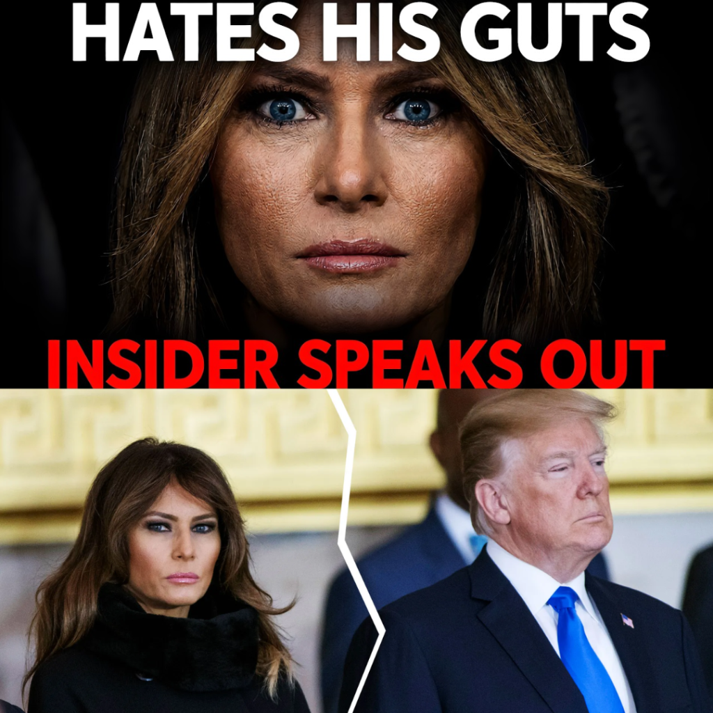 Reporter Claims Melania Trump Is Done With Donald Trump, Alleging They Have Separated