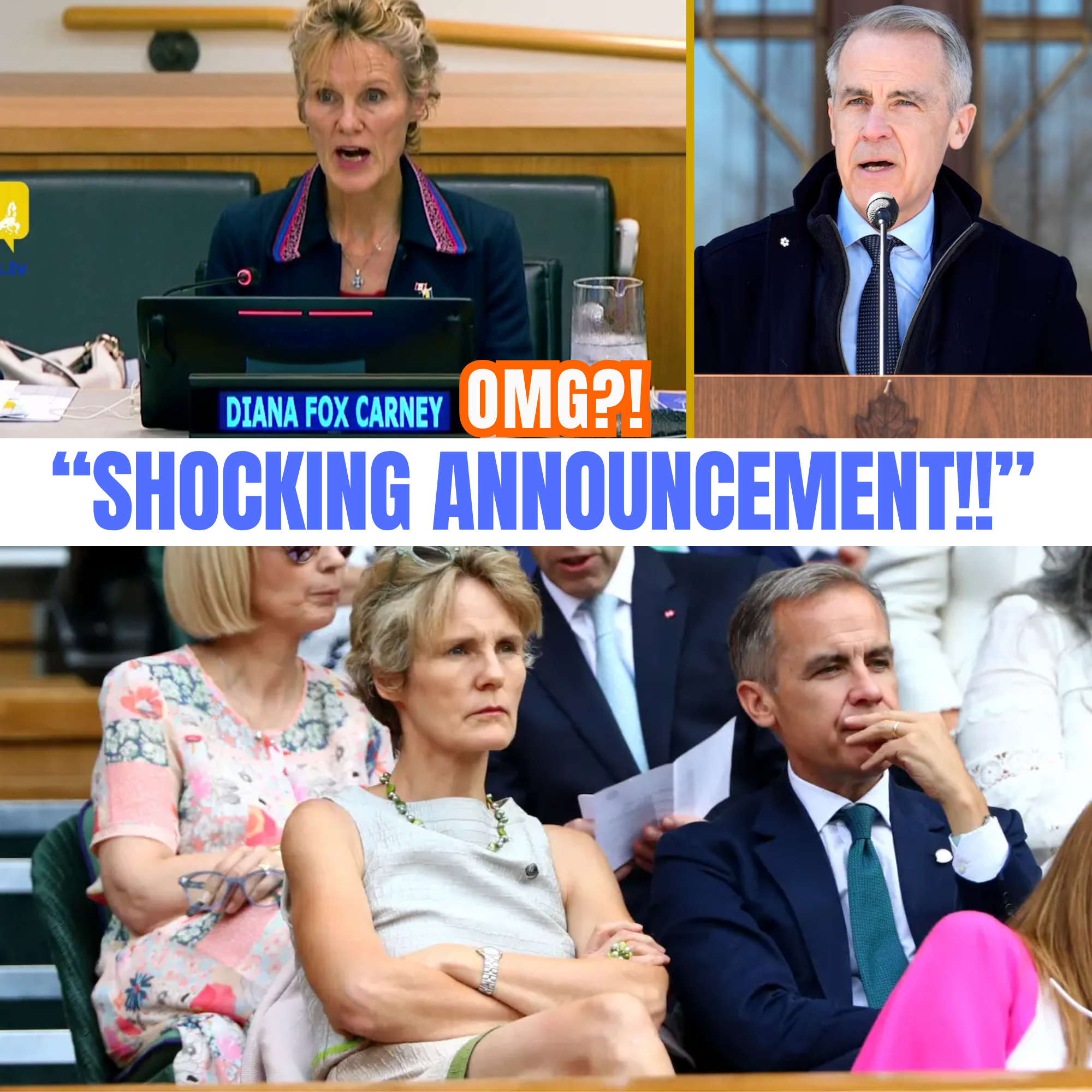 Mark and Diana Fox Carney Make Unexpected Announcement, Astonishing Fans