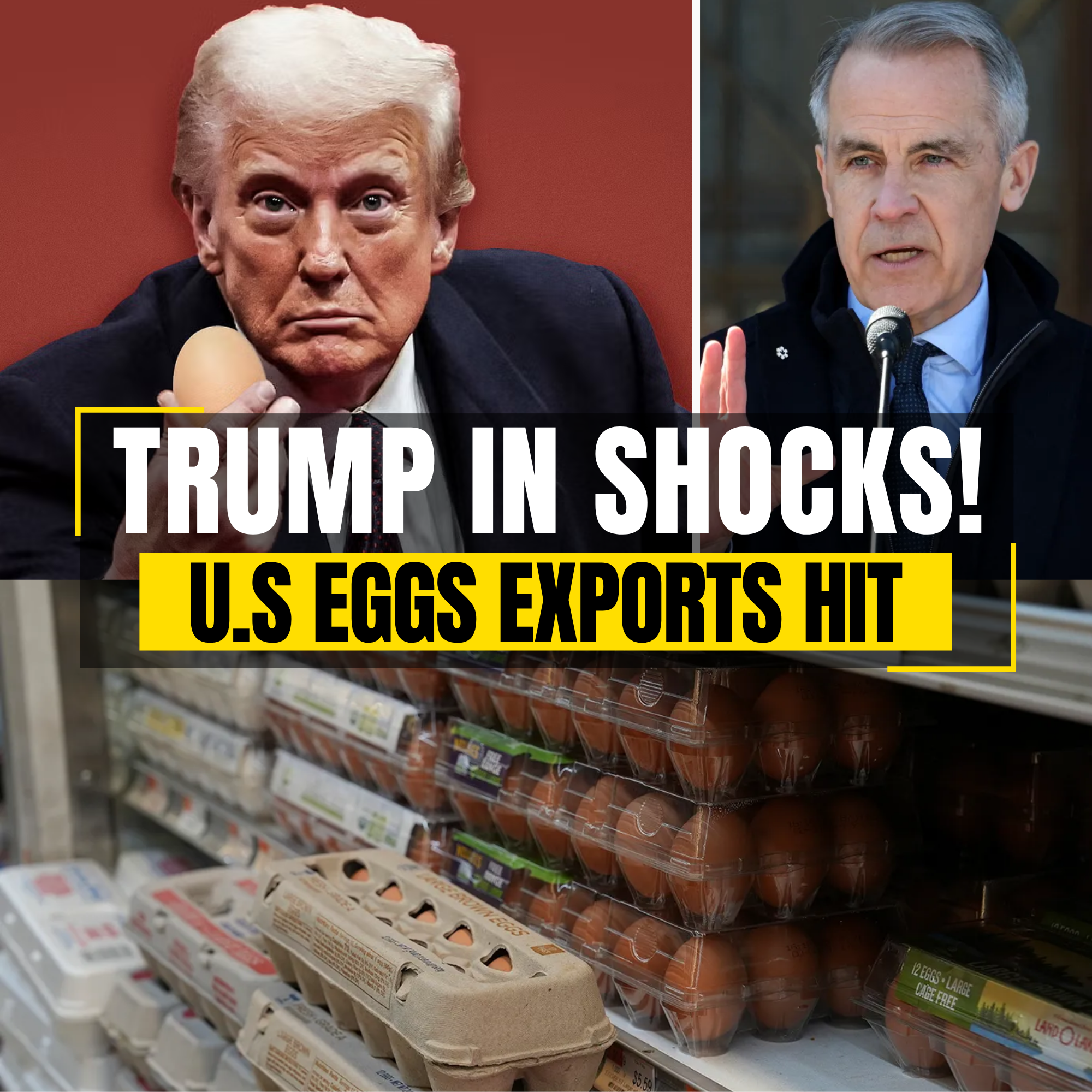 Canada Rejects 175 Million US Eggs, Causing Chaos for American Farms Amid Trade War