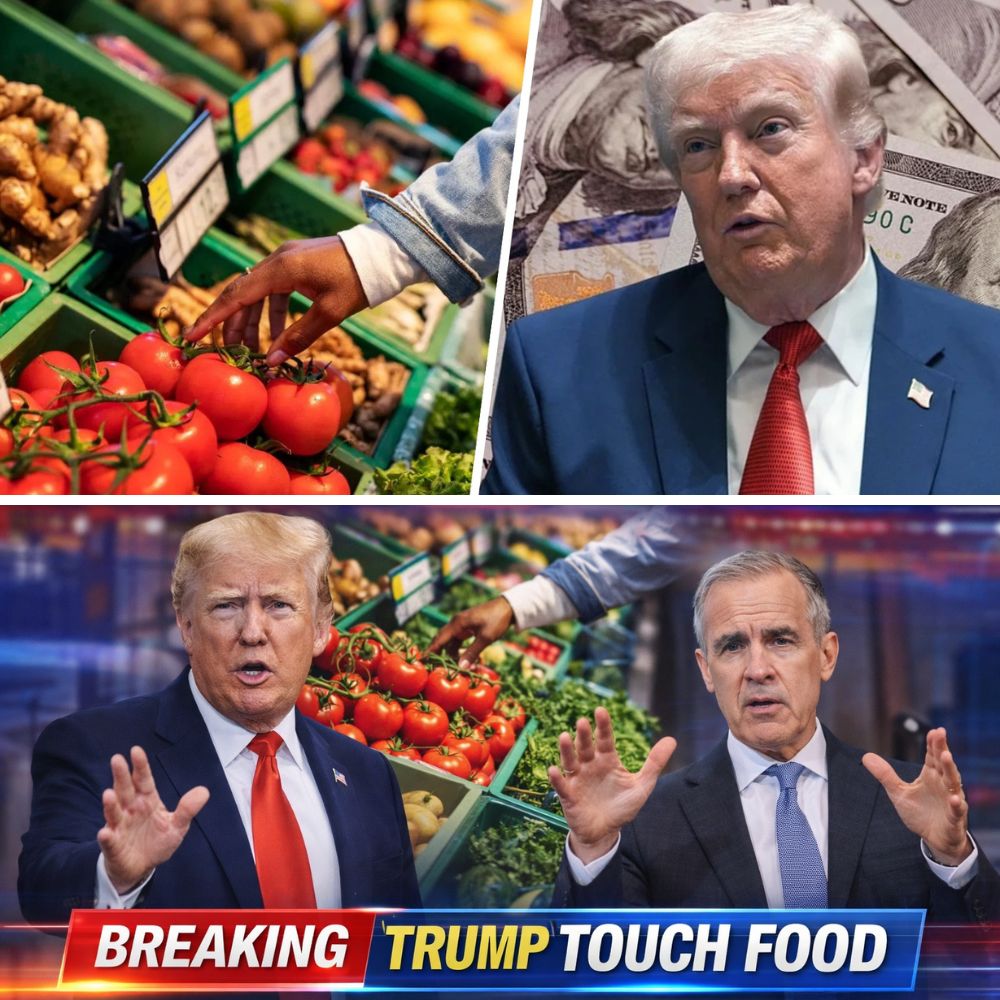 Canada's $500 Million Food Strategy Surprises Trump as Carney Takes Offensive