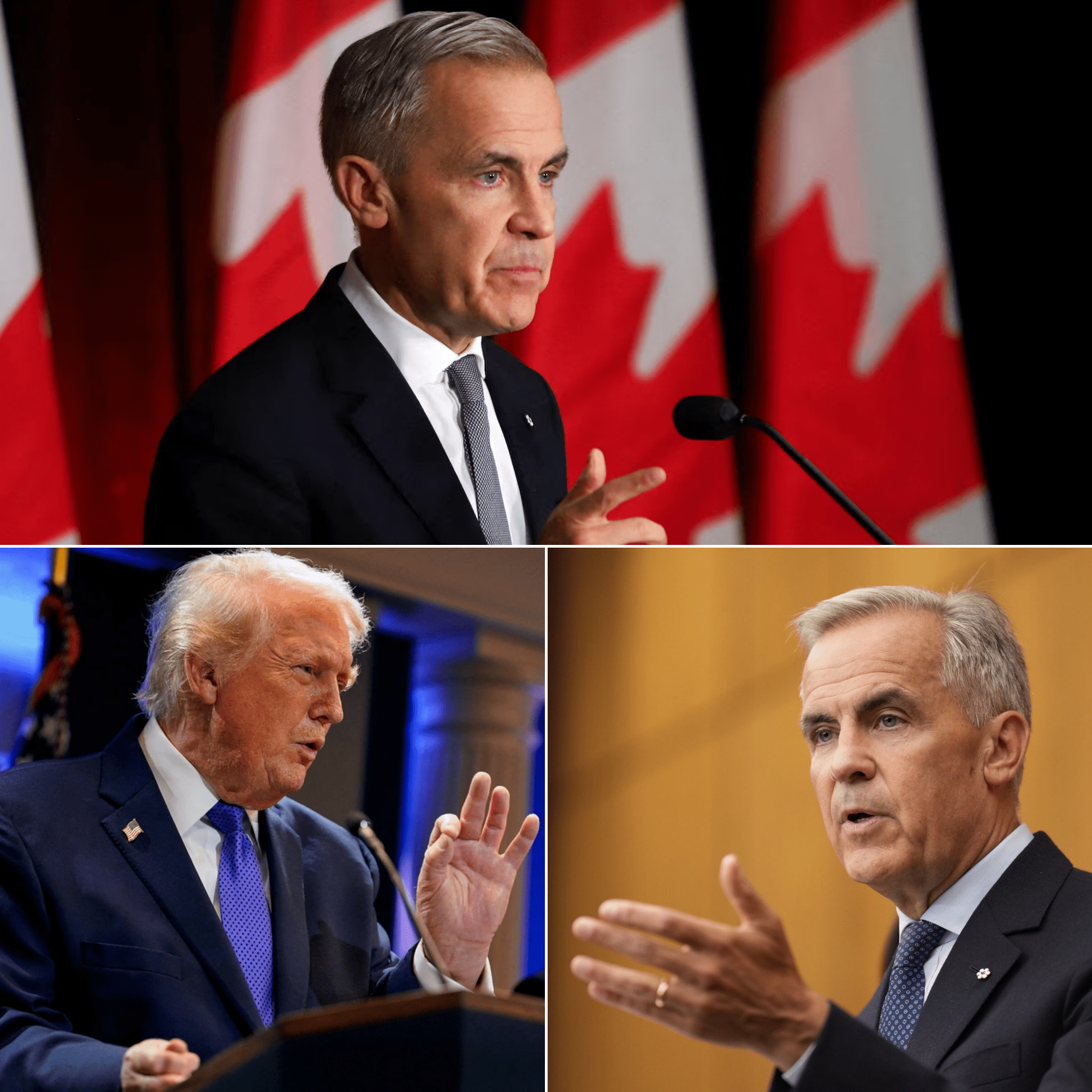 Canada Takes the Lead in Global Minerals, Surprising Trump