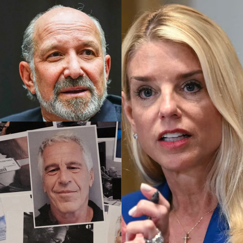 Digital Transparency: Restoration of Congressional Oversight Records