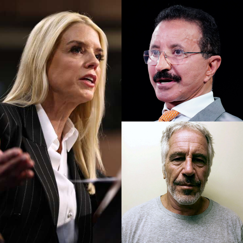 Corporate Governance: Leadership Transition at Global Logistics Giant