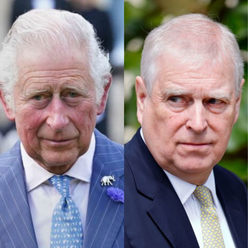 Constitutional Oversight and Judicial Equality: The Investigation of Andrew Mountbatten-Windsor