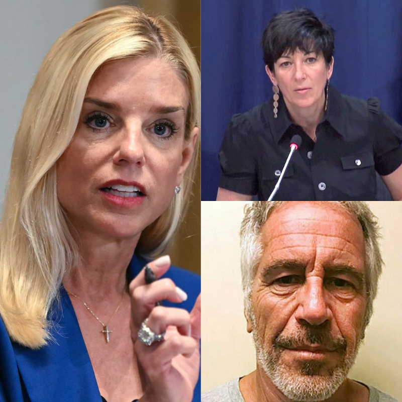 Public Record Accessibility: The Full Release of Data Set Ten