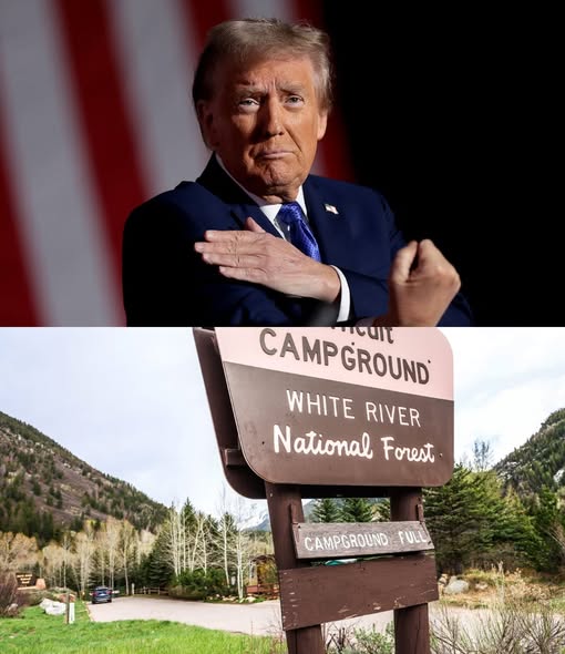 FOREST SERVICE RESTRUCTURING: Assessing the Impact on Wildfire Readiness in 2026