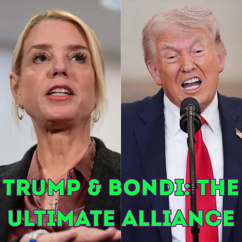 Judicial Analysis: The Factors Behind Bondi’s Dismissal