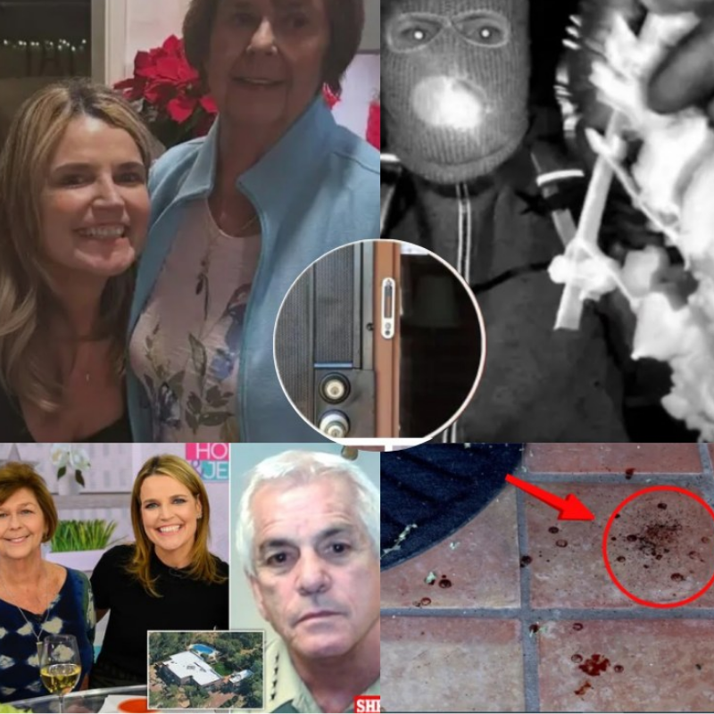 Forensic Update: DNA Analysis Confirms Identity of Evidence in Disappearance of Nancy Guthrie