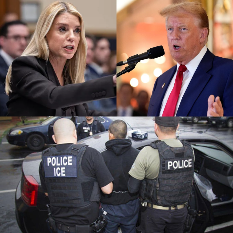 Federal Authorities Disrupt Major Transnational Network Linked to Illicit Border Activities