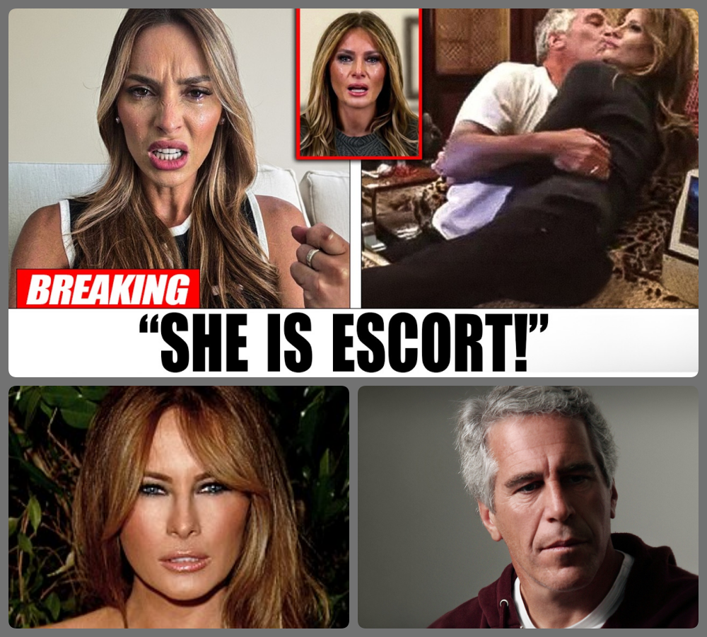 The Unraveling of an Elite Illusion: How a Sudden White House Denial and Surfaced FBI Documents Exposed a Terrifying Web of Contradictions Surrounding the Epstein Files