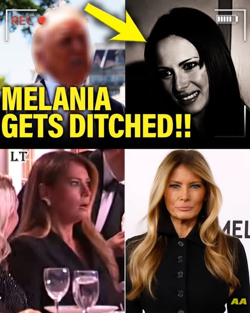 MELANIA DITCHED BY TRUMP ON CHINA TRIP AS NATALIE HARP STEPS IN AND HER DARK PAST EXPLODES