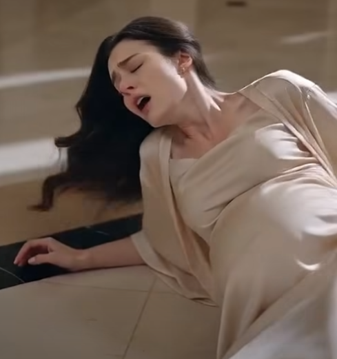 The pregnant woman tumbled down the stairs. But the attacker was the one who cried. The fall on the grand staircase. “You ruined my life!