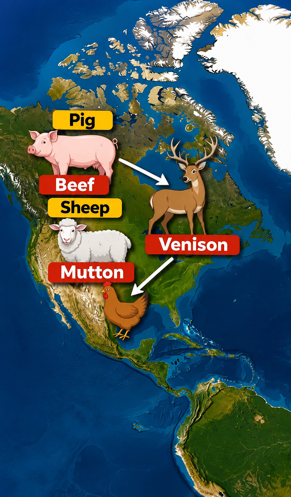 Why Do We Say Cow But Eat Beef? The Strange History Hidden In English Meat Names