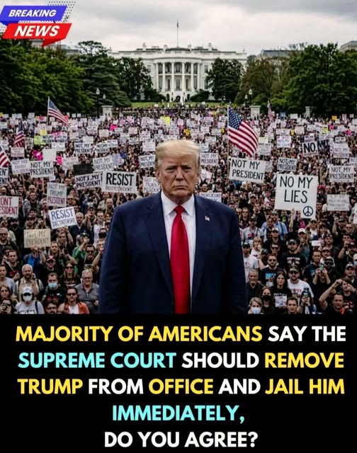 A Majority of Americans View Trump’s First Year as a Failure, Polls Show