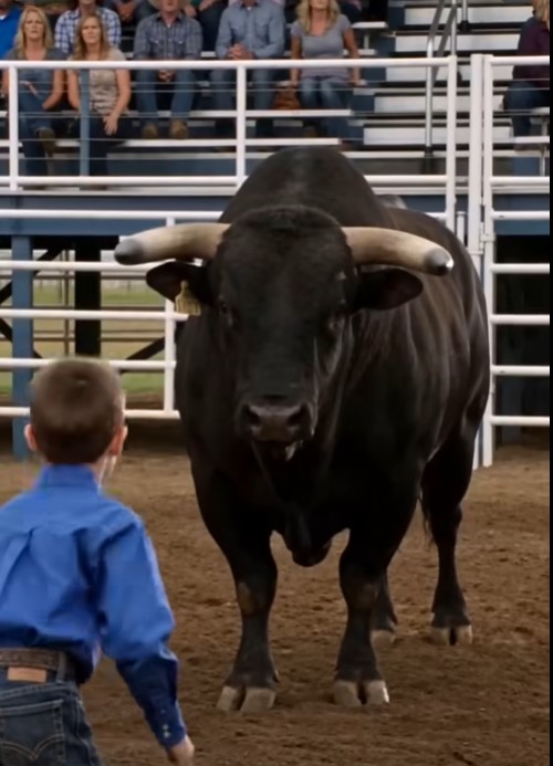 The Boy, the Bull, and the Truth the Arena Tried to Bury