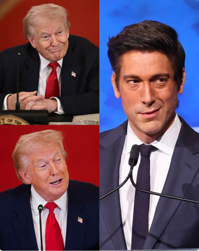 A Viral Confrontation Narrative Ignites Debate — When a Political Outburst Meets Broadcast Calm-hy