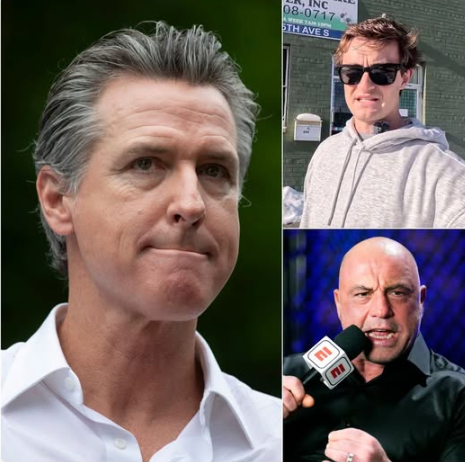 Gavin Newsom Speaks Out After Controversial Comments Begin Circulating Online