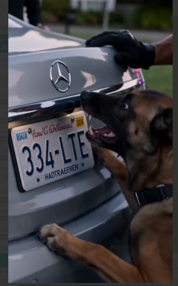The Police Dog Wouldn’t Stop Scratching the Trunk—Seconds Later, an Officer Found a Little Boy Fighting to Stay Alive