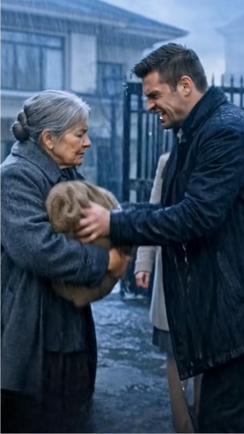 He Pushed His Mother Away in the Rain. But the Note Hidden in the Rice Was Only the Beginning