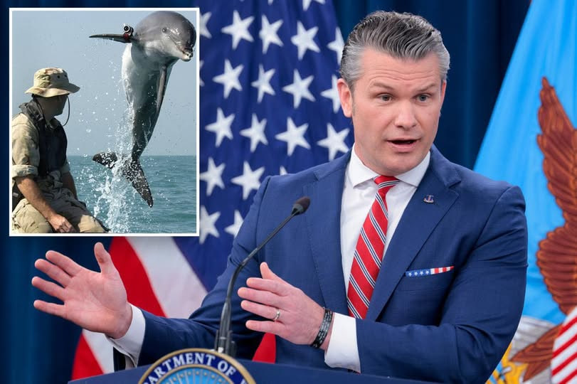 Pete Hegseth Responds to Strange Claims About “Kamikaze Dolphins” in the Strait of Hormuz