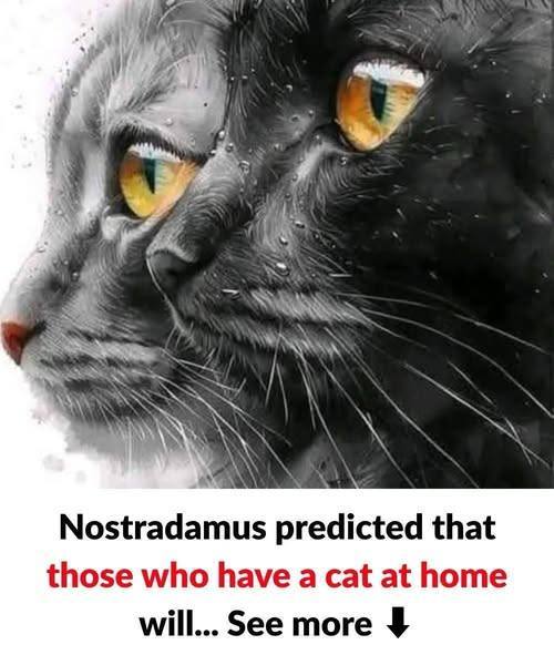 The Unexpected Spiritual Significance of Your Cat—Did Nostradamus Hint at It”