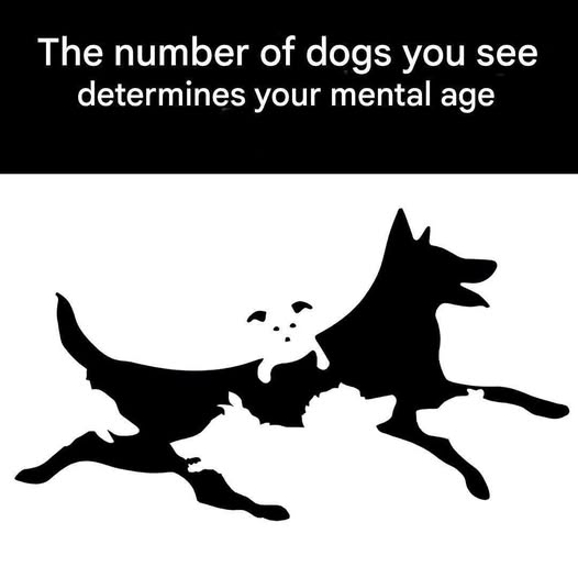 The number of dogs you see in this picture determines your mental age