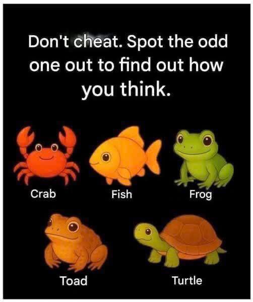 Don’t c.h.e.a.t. Spot the odd one out to understand your way of thinking.