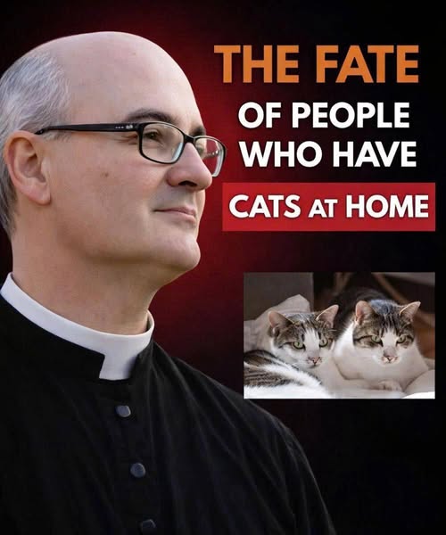 Spiritual reflections on the meaning of having cats ...