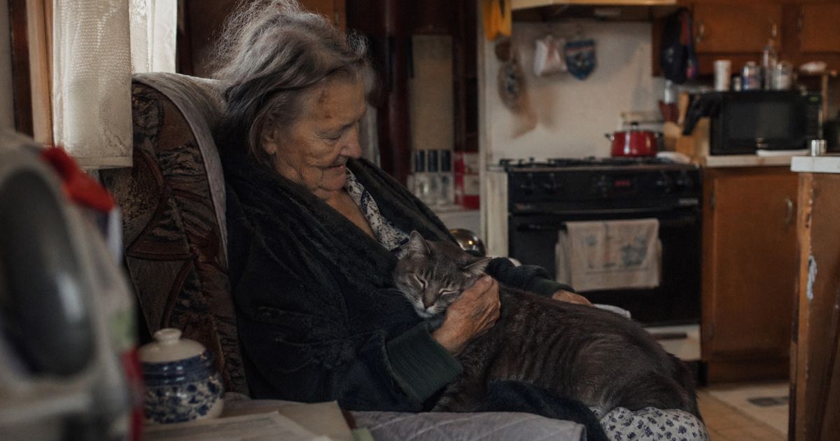 The Old Cat Who Came for Christmas and Saved My Mother’s Heart